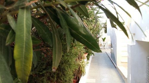 Residence Salentoholidays