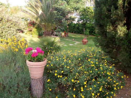 Appartamento In Casale