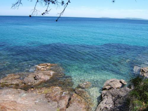 Apartamento Les Lauriers Roses