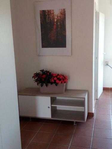 Salento Nel Cuore