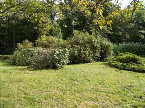 Bed & Breakfast Domaine Des Sapins