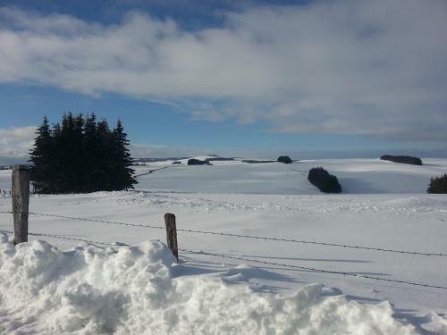 Domaine De L'ours / Camping Lodge
