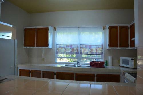 Neem View Apartments Antigua#2