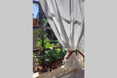 Apartamento La Casa Al Castello - Arcidosso