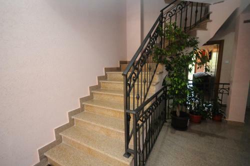 "lux Apartmani M-mili?"