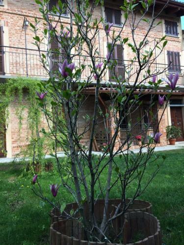 B&B Locanda Dai Nonni