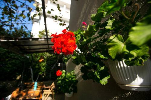 Hostal Guest House Lavr