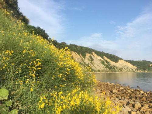 Apartamento 10 Veliki Trg