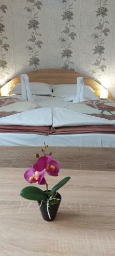 Hostal Three Bedroom Apartment