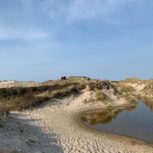Apartamento Studio Strand En Meer