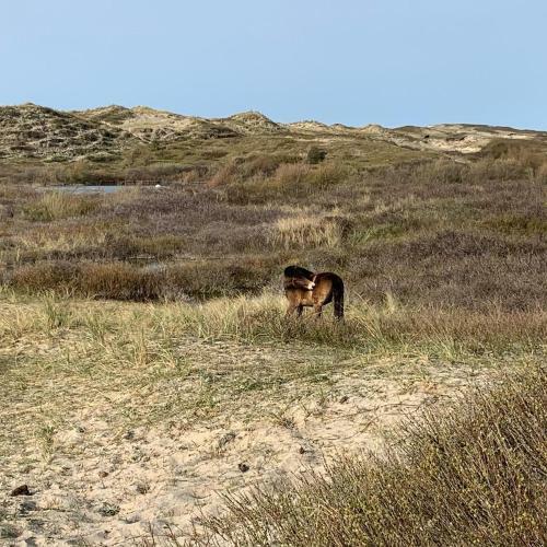 Apartamento Studio Strand En Meer