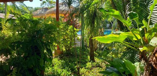 Guacamaya Lodge