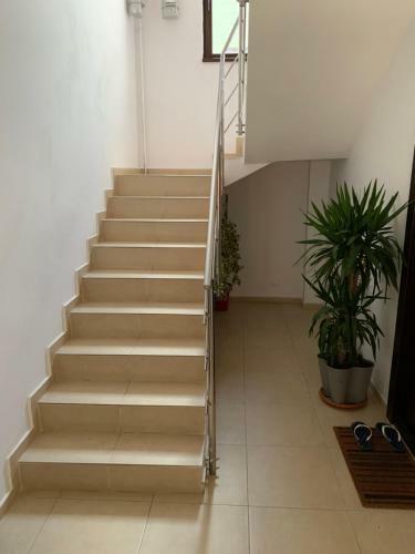 Apartamento Magic Home Timisoara