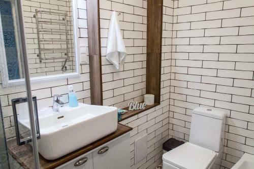 The Best Apartment In Kiev Blue