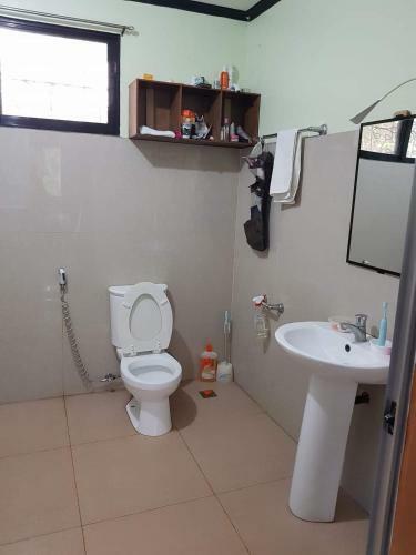 Bed & Breakfast Paco's Garden Home Stay