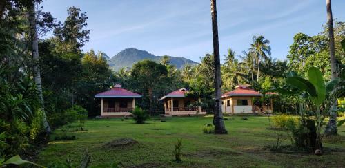 Bed & Breakfast Paco's Garden Home Stay