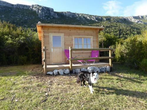 Cabane Aux �toiles