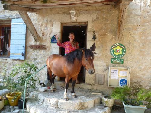 Cabane Aux �toiles