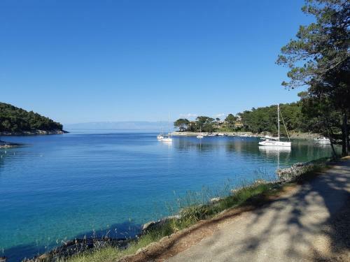 Apartamentos Holiday Home K65