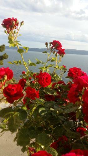 Apartamentos Wiev On Th Sea Pisak