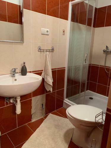 Apartamento Borsfai Vend�gh�z