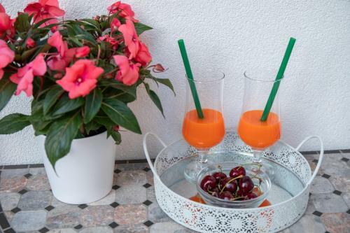 Apartman Ivana Central