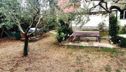 Cecillia Mare Apartments