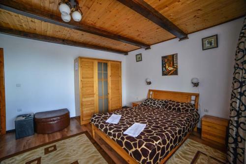 Hostal Pensiunea Montana