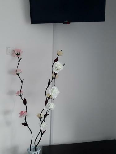 Apartament Eduard