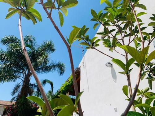 Apartamento Le Ginestre