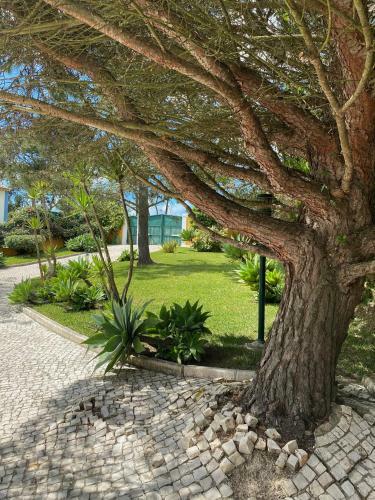 Villa P�ra Mi�da - A Home Away From Home