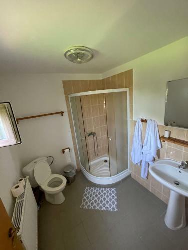 Hostal Pensiunea Ducu