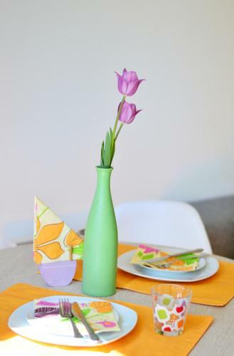 Apartment Elza
