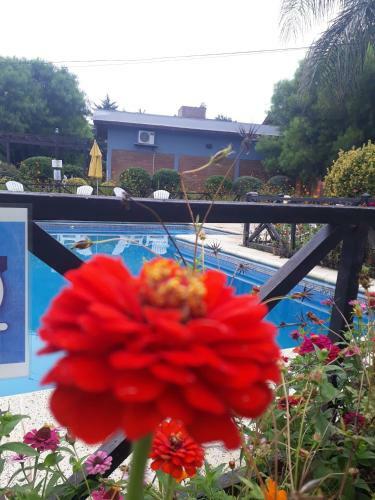 Apartamento Caba�as Ruphay