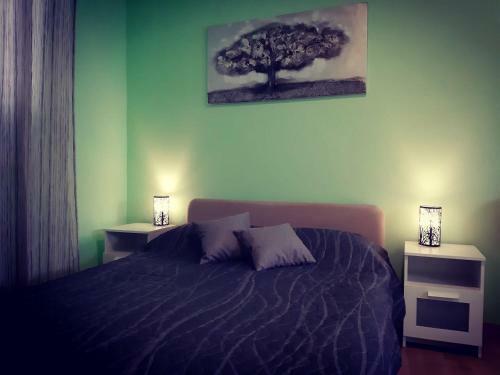 Apartments Luza