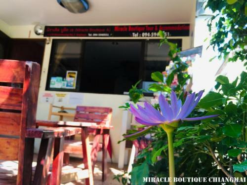Hotel Miracle Boutique Chiangmai