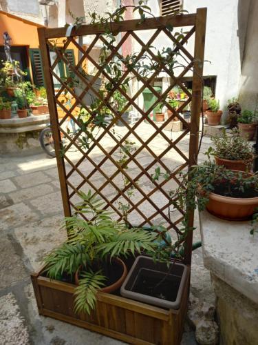 Bunari Studio Apartment