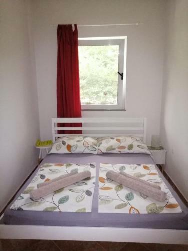 Apartments Pasha