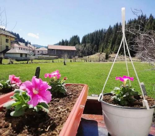 ??????? ???? ??? ??????? F?milly Villa Paradise Buynovo