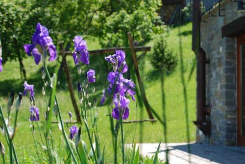 Apartamento Il Paradiso Monolocale Cottage
