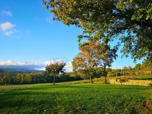 Palazzolo Resort - Anghiari