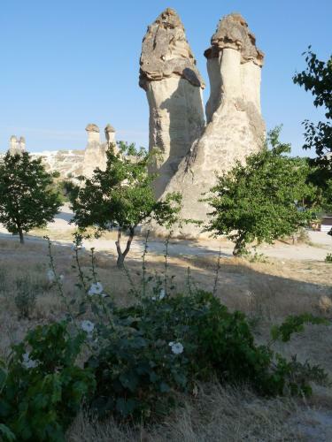 Hotel Buyuk Avanos Oteli