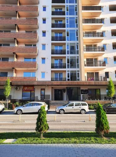Sorin`s Comfortable Apartment