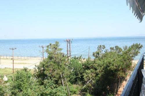 Ammos Lux Apartments