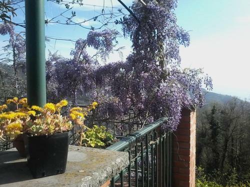 Bed&breakfast Bella Vita