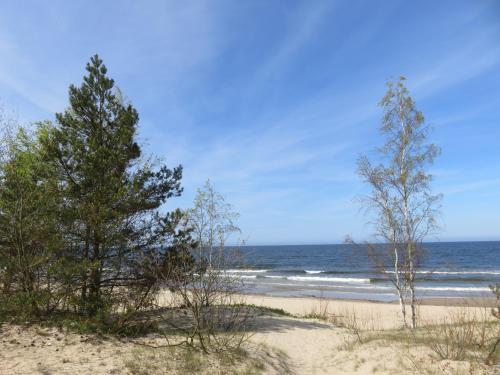 Bed & Breakfast Fala Na Wyspie