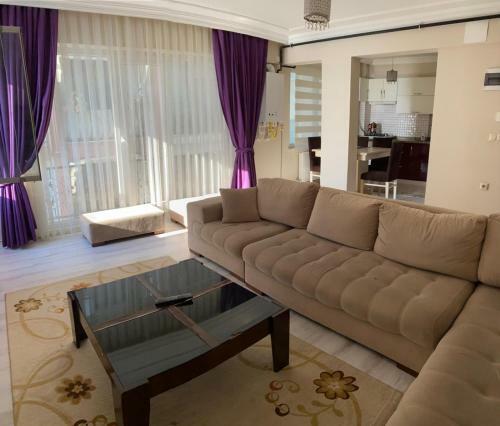 Vip Suit Apart