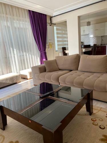 Vip Suit Apart