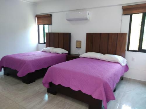 Hotel D Alba Sayulita
