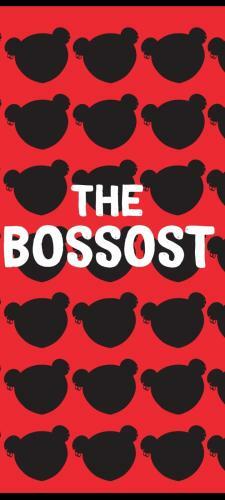 Hotel The Bossost